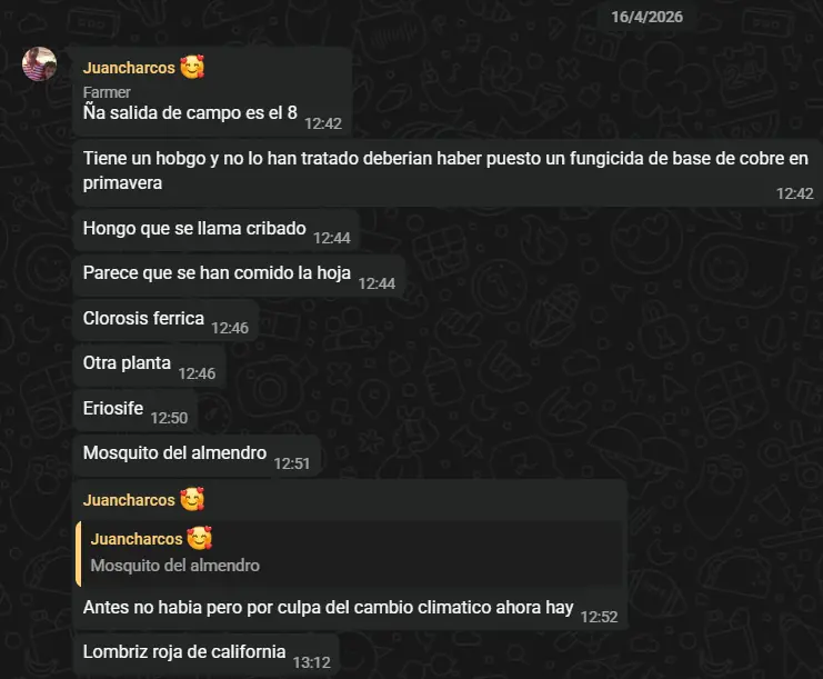 Captura de WhatsApp con los apuntes de Juancharcos