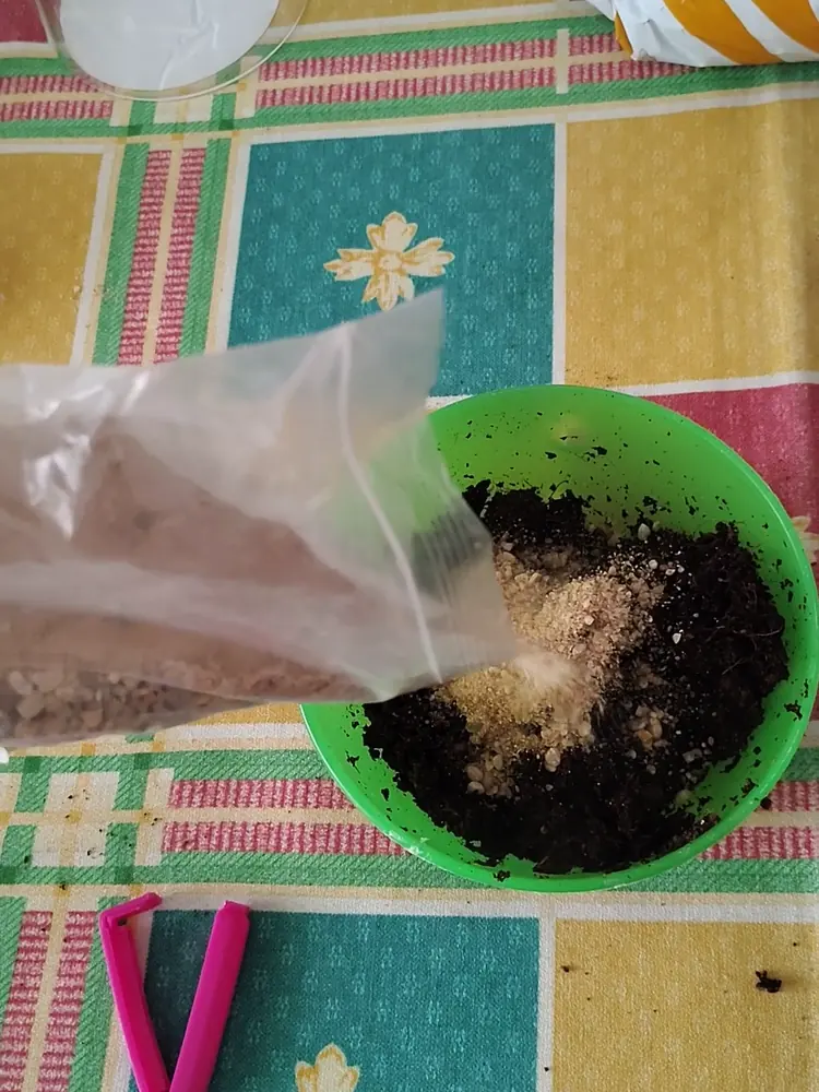 Añadiendo arena de río a la fibra de coco en el bol