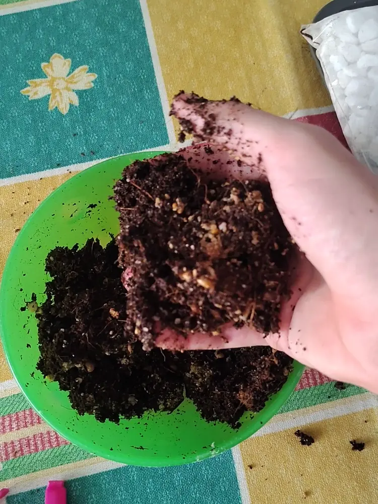 Mano sujetando un puñado de la mezcla de fibra de coco y arena de río