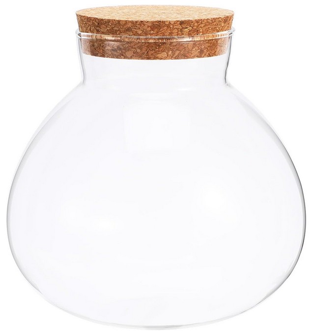 Tarro de cristal amplio para terrarios