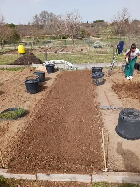 Bancal de tierra alisado y preparado en el huerto