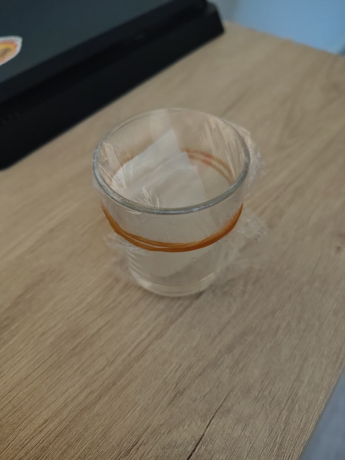 Vaso sellado con papel film para mantener la humedad durante la germinación